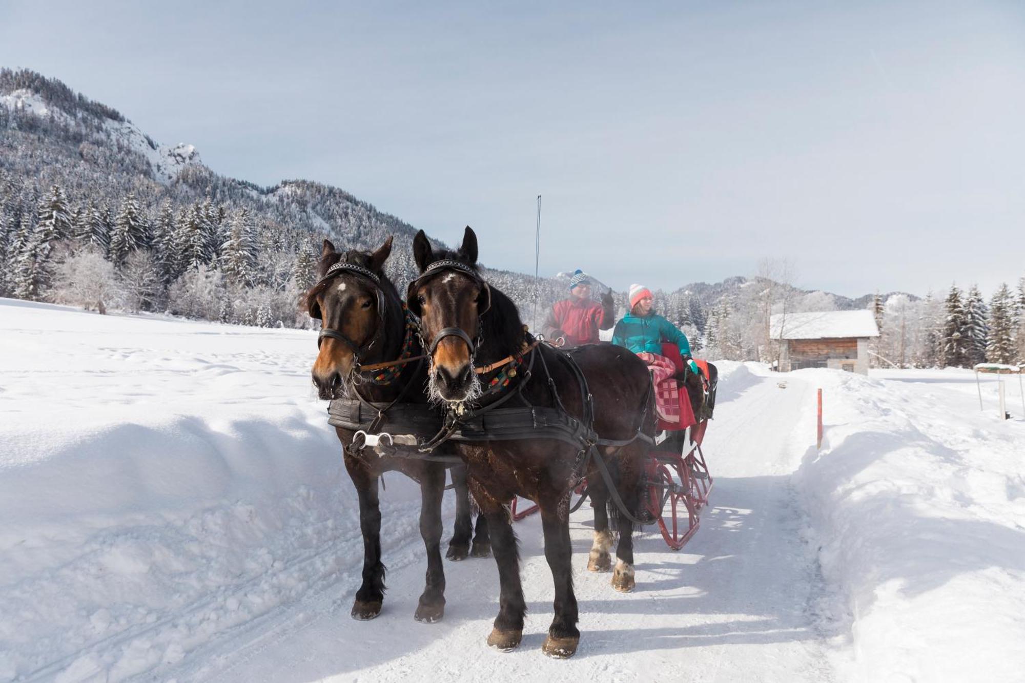 Chalet Clofers Nature Obermoeschach *